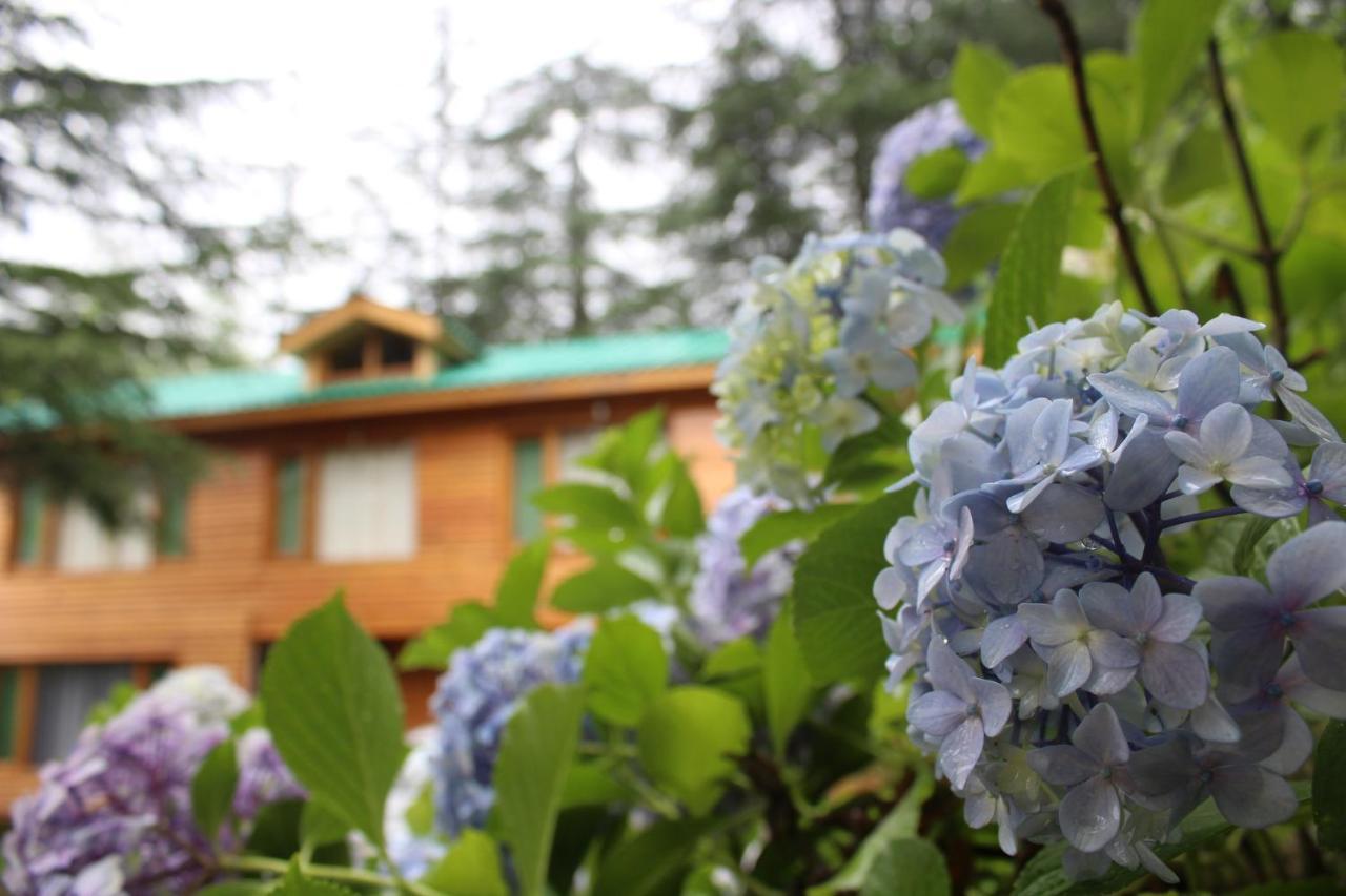 Mary'S Cottages Manali  Exterior photo